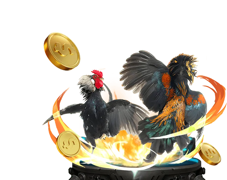 Văn hóa đá gà Thomo